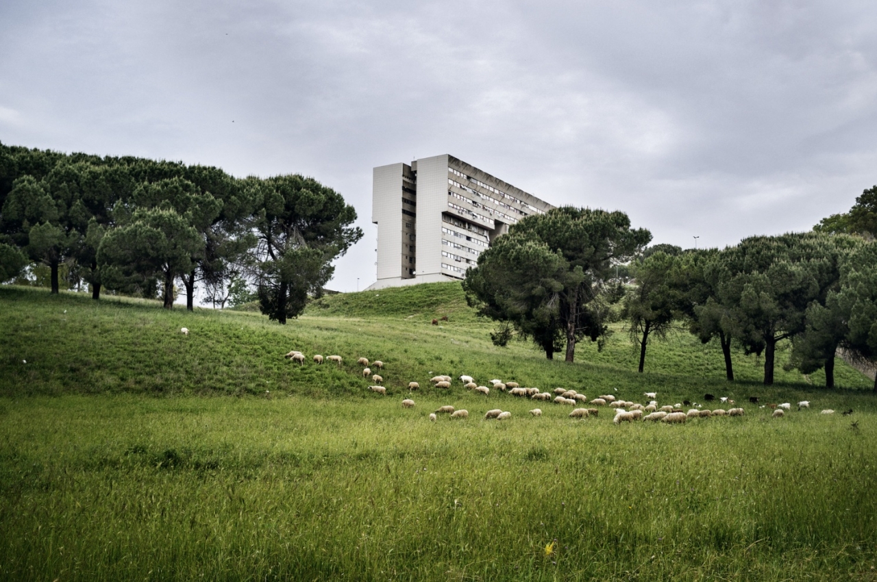 Il Palazzo dei destini incrociati